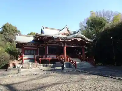 武蔵野八幡宮の本殿・本堂