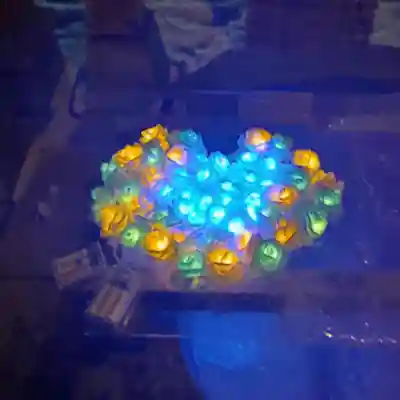 彌彦神社　(伊夜日子神社)(北海道)