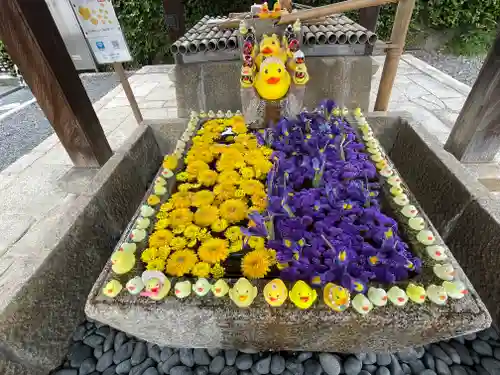 くろ谷 金戒光明寺(京都府)