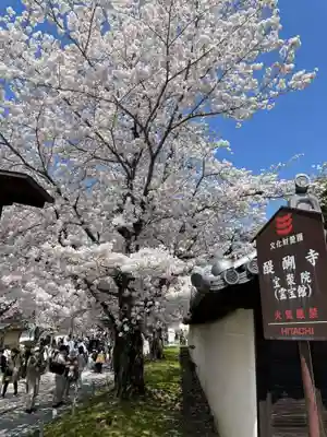 宝聚院(京都府)