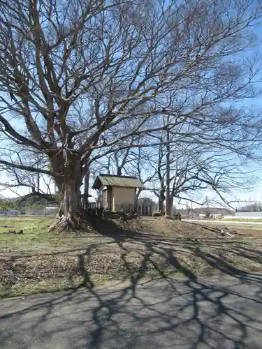 神明神社(千葉県)