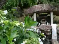 龍尾神社(静岡県)