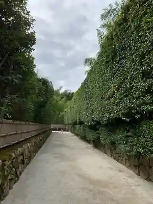 慈照寺（慈照禅寺・銀閣寺）(京都府)
