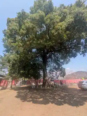 白髭神社(群馬県)