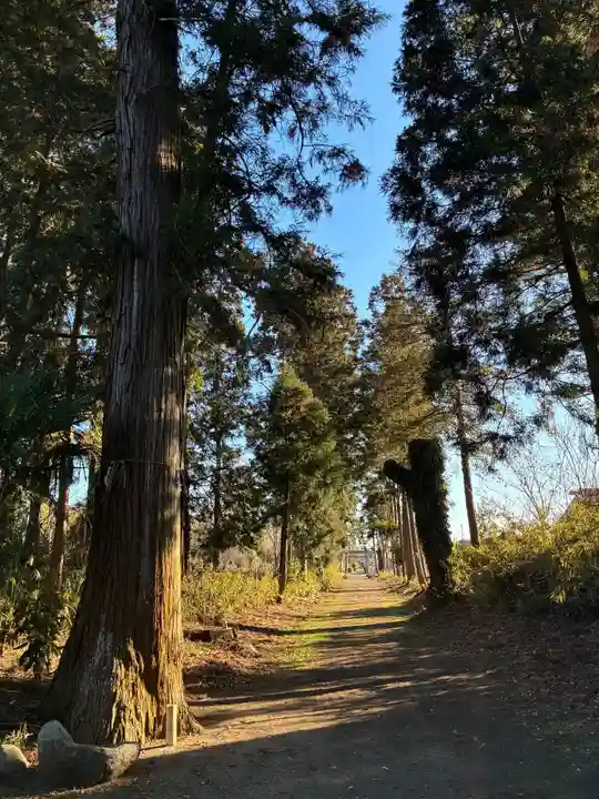 那珂西神社(茨城県)