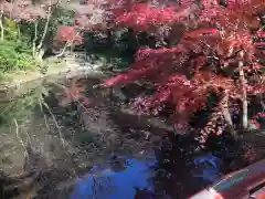 鶴岡八幡宮の庭園