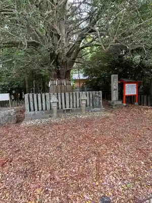 熊野速玉大社(和歌山県)