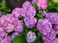 神明社(千葉県)