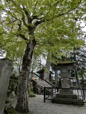 飛驒一宮水無神社(岐阜県)