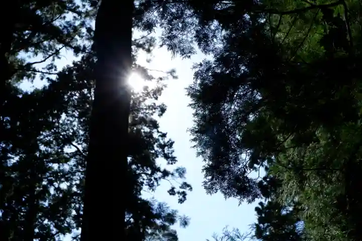 小國神社(静岡県)