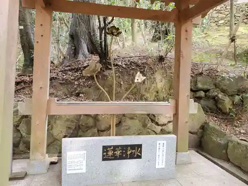 無動寺の手水舎