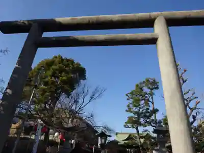 桜神宮の鳥居