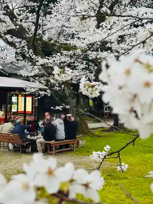 守りの神　藤基神社(新潟県)