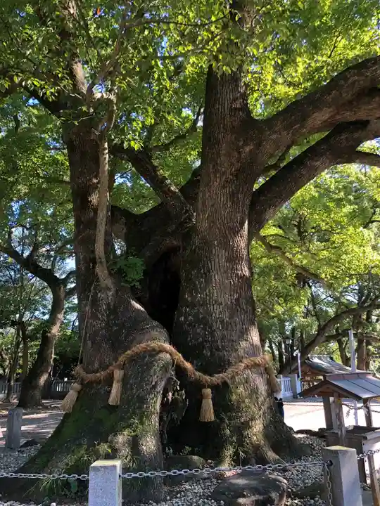 大麻比古神社の自然