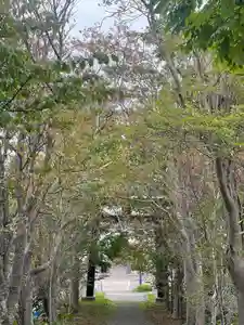 釧路一之宮 厳島神社の自然(2024年09月21日(土) 19時06分35秒投稿)