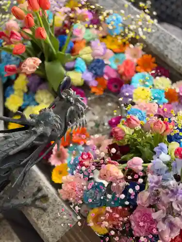 札幌諏訪神社(北海道)