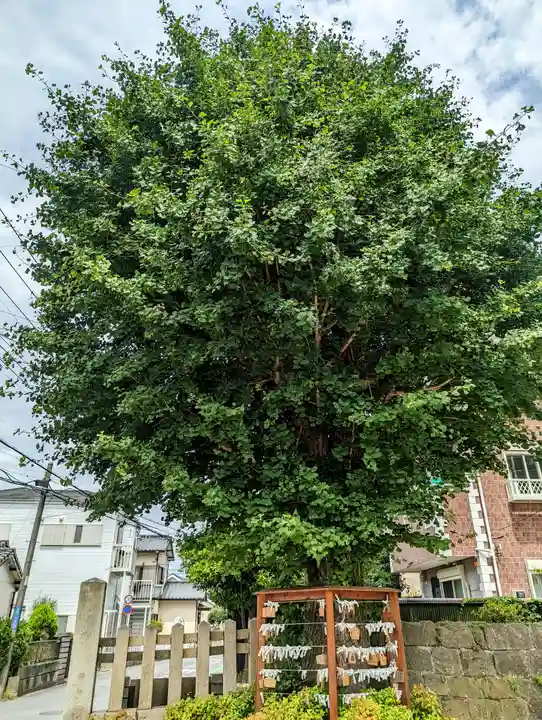 叶神社(東叶神社)の自然
