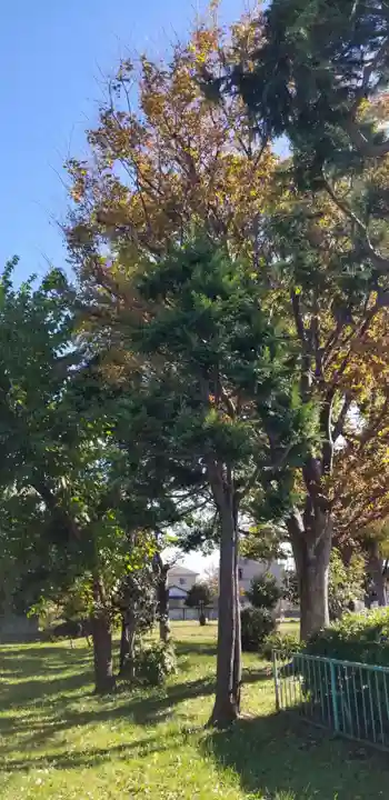 庚申神社の自然