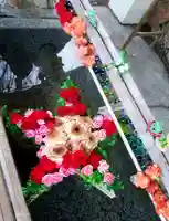 星置神社の手水舎