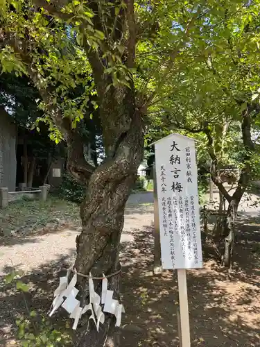 北野天神社(埼玉県)