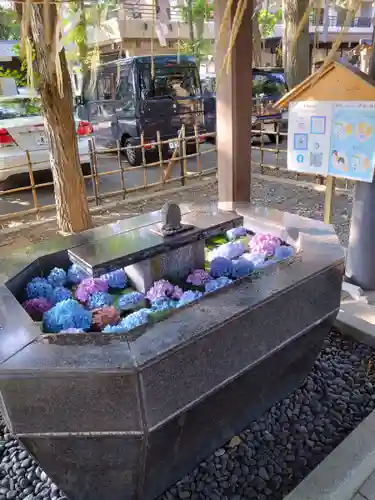 新琴似神社(北海道)