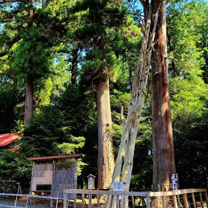 渭伊神社(静岡県)