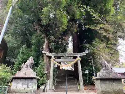 神門神社(宮崎県)