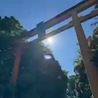川越氷川神社の{uncategorized: "未分類", other: "その他", undefined: "問題あり", building: "その他建物", grave: "お墓", sacred_gate: "鳥居", guardian: "狛犬", statue: "像", buddha: "仏像", history: "歴史", nature: "自然", garden: "庭園", animal: "動物", pagoda: "塔", temizu: "手水舎", mountain_gate: "山門・神門", sanctuary: "本殿・本堂", subordinate: "末社・摂社", art: "芸術", scenery: "景色", jizo: "地蔵", ema: "絵馬", goshuin: "御朱印", omikuji: "おみくじ", items: "授与品その他", amulet: "お守り", goshuincho: "御朱印帳", eats: "食事", festival: "お祭り", votive_dance: "神楽", shichigosan: "七五三参", wedding: "結婚式", experience: "体験その他", initially: "初詣", around: "周辺", anti_infection: "感染症対策"}