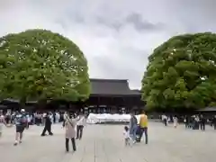 明治神宮(東京都)