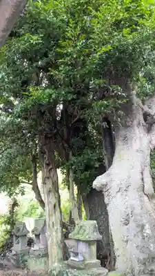 荒魂神社(香川県)