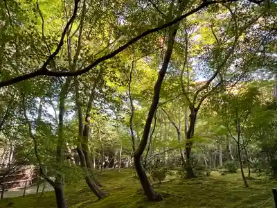 祇王寺(京都府)