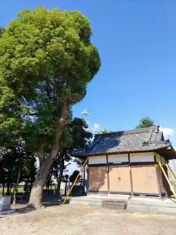 八幡社(須脇八幡社)の本殿・本堂