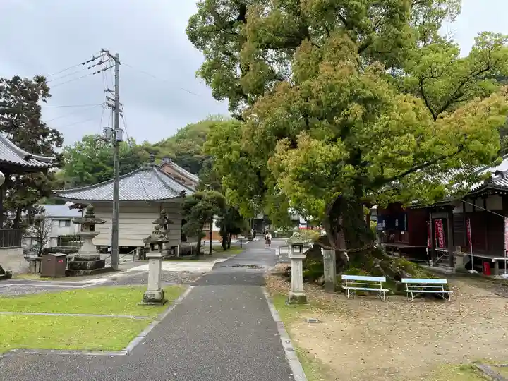 観音寺(香川県)