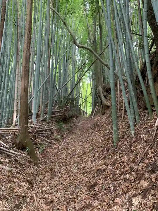 八幡神社(千葉県)