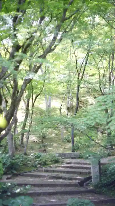 常寂光寺(京都府)