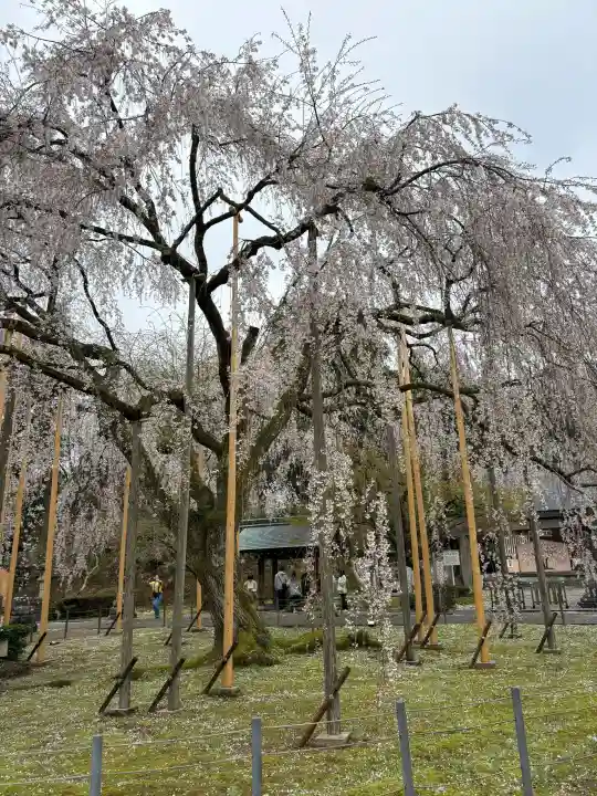 足羽神社の{uncategorized: "未分類", other: "その他", undefined: "問題あり", building: "その他建物", grave: "お墓", sacred_gate: "鳥居", guardian: "狛犬", statue: "像", buddha: "仏像", history: "歴史", nature: "自然", garden: "庭園", animal: "動物", pagoda: "塔", temizu: "手水舎", mountain_gate: "山門・神門", sanctuary: "本殿・本堂", subordinate: "末社・摂社", art: "芸術", scenery: "景色", jizo: "地蔵", ema: "絵馬", goshuin: "御朱印", omikuji: "おみくじ", items: "授与品その他", amulet: "お守り", goshuincho: "御朱印帳", eats: "食事", festival: "お祭り", votive_dance: "神楽", shichigosan: "七五三参", wedding: "結婚式", experience: "体験その他", initially: "初詣", around: "周辺", anti_infection: "感染症対策"}