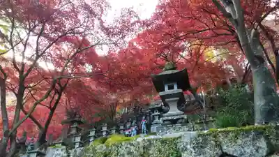大山寺(神奈川県)
