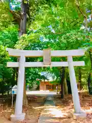 岡見八坂神社の鳥居