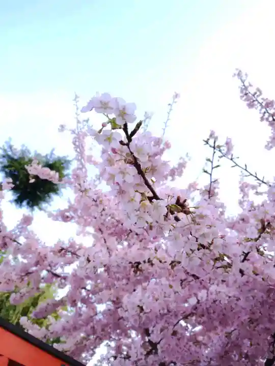 車折神社の{uncategorized: "未分類", other: "その他", undefined: "問題あり", building: "その他建物", grave: "お墓", sacred_gate: "鳥居", guardian: "狛犬", statue: "像", buddha: "仏像", history: "歴史", nature: "自然", garden: "庭園", animal: "動物", pagoda: "塔", temizu: "手水舎", mountain_gate: "山門・神門", sanctuary: "本殿・本堂", subordinate: "末社・摂社", art: "芸術", scenery: "景色", jizo: "地蔵", ema: "絵馬", goshuin: "御朱印", omikuji: "おみくじ", items: "授与品その他", amulet: "お守り", goshuincho: "御朱印帳", eats: "食事", festival: "お祭り", votive_dance: "神楽", shichigosan: "七五三参", wedding: "結婚式", experience: "体験その他", initially: "初詣", around: "周辺", anti_infection: "感染症対策"}
