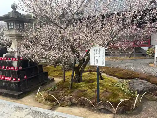 岩津天満宮(愛知県)