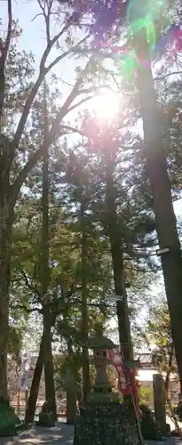 間々田八幡宮のその他建物