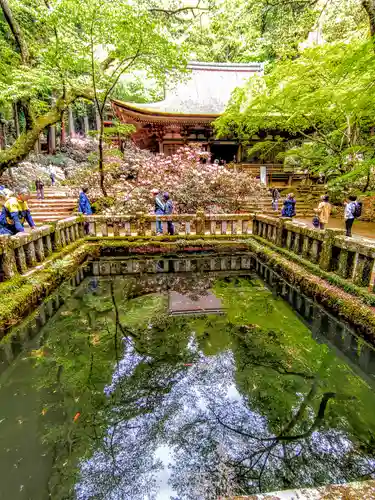室生寺の本殿・本堂