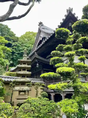 本蓮寺の庭園