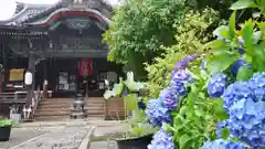 行願寺（革堂）の本殿