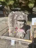 京都乃木神社の狛犬