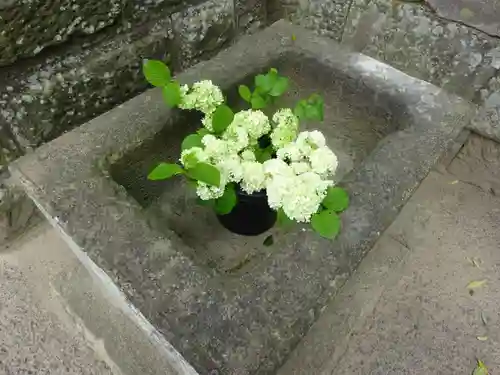 熊野福藏神社の手水