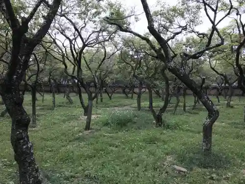 谷保天満宮の庭園