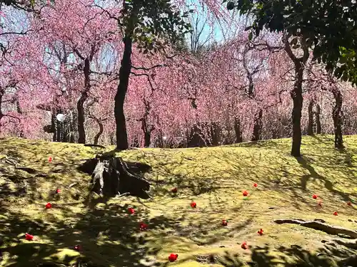 城南宮(京都府)