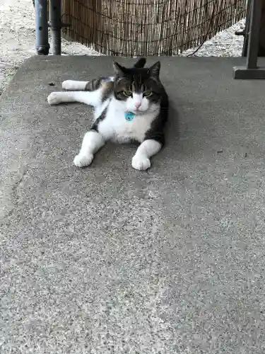 鶴田八幡宮(青森県)