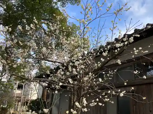 八幡神社の自然